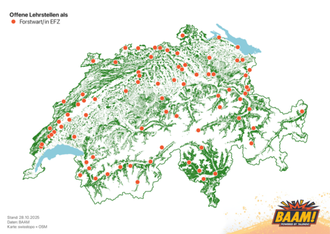 Forstwart Lehrstellen
